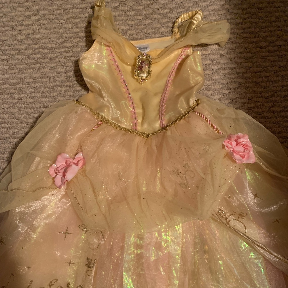 Beautiful belle Disney princess gown